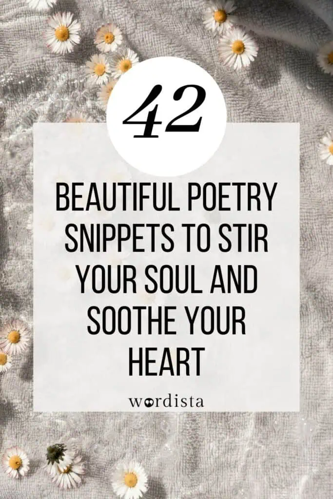 beautiful poetry lines wordista pinterest graphic