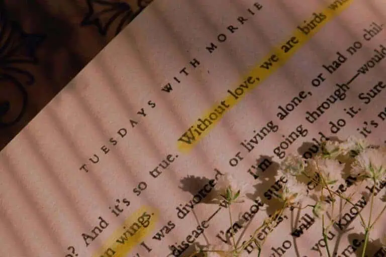 close-up of a highlighted quote from the book 'tuesdays with morrie' with white dried flowers resting on the page