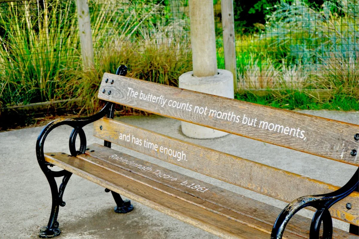 a rustic wooden bench engraved with rabindranath tagore's quote about cherishing moments, set against a garden backdrop