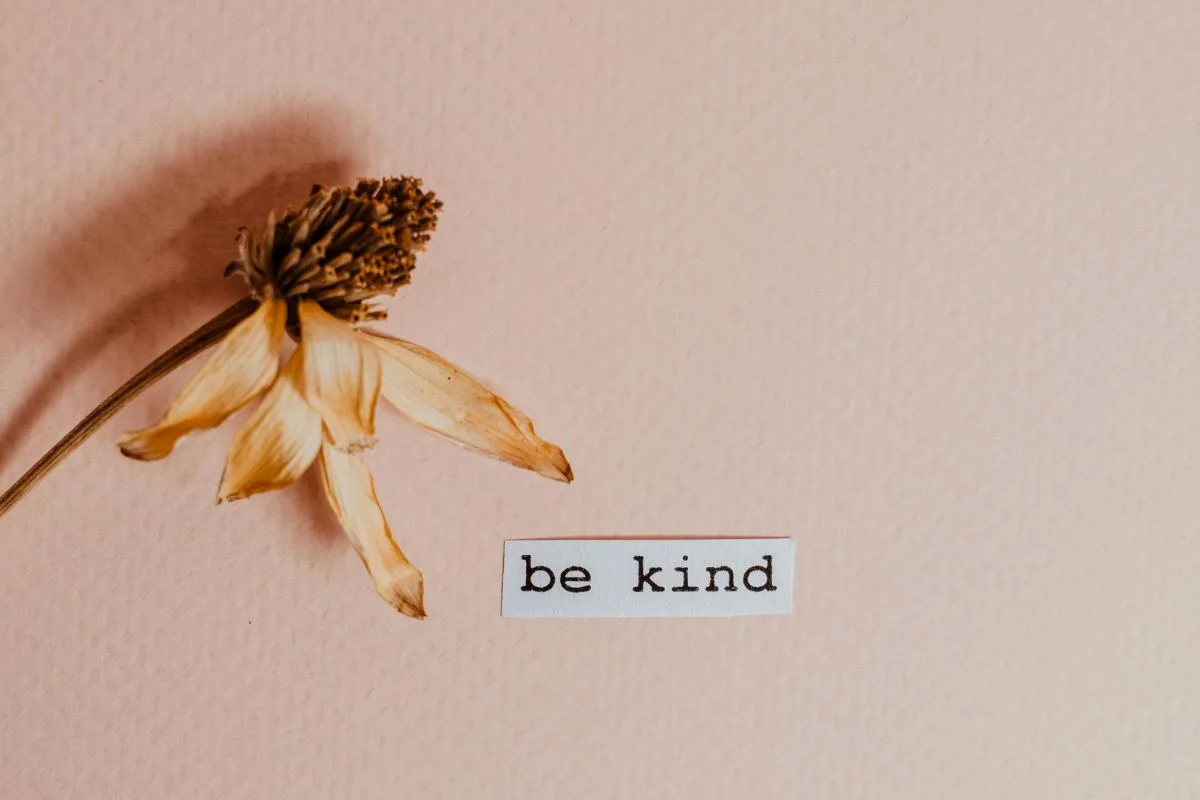 a dried flower placed beside a typewritten label that reads "be kind" on a soft pink textured background