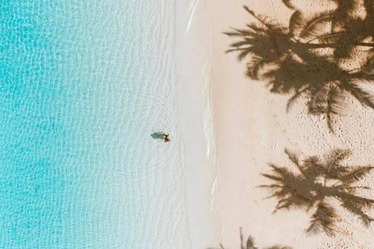 a featured image for the post about beach quotes showing aerial view of a person walking in shallow turquoise water near a sandy beach with palm tree shadows