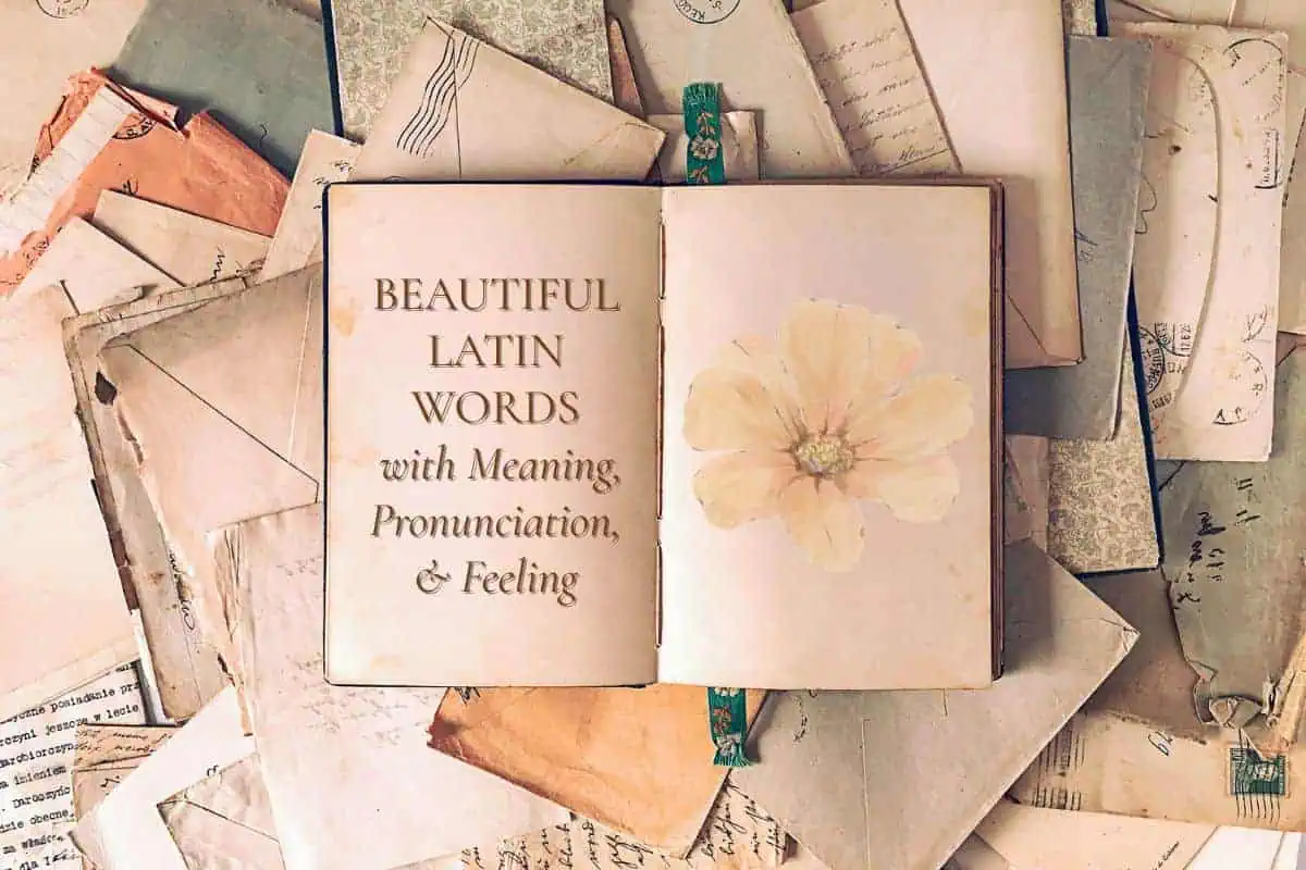 open vintage notebook with elegant typography reading “Beautiful Latin Words with Meaning, Pronunciation, & Feeling” alongside a soft pastel flower, surrounded by scattered old letters and papers