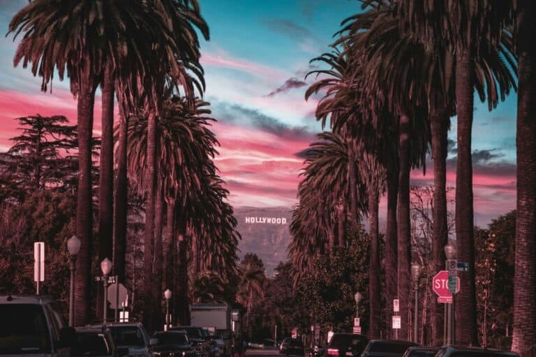 los angeles street with palm trees and hollywood sign at sunset with pink and blue sky